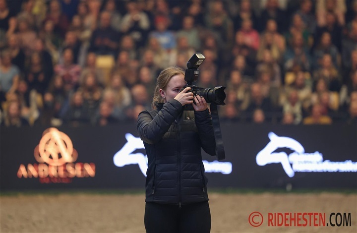 Ridehesten s&oslash;ger ny freelance fotograf