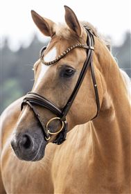 IVY Horsefashion Barcelona Trense