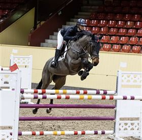 Ridning, videreuddannelse, kommission