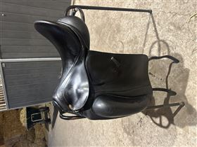 Kentaur Andromeda dressur