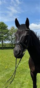 Rundsyet trense med OS pandebånd