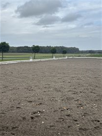 Dressur hegn 20 × 60