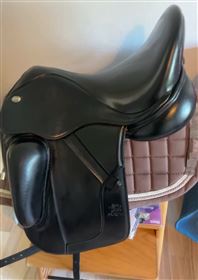 Fairfax Gareth HUghes 17"