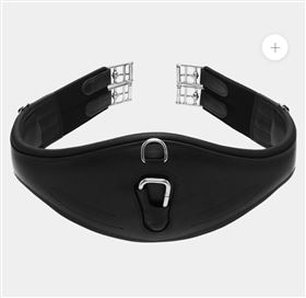 Aequipt  anatomisk gjord