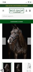 Catago Gentle bridle