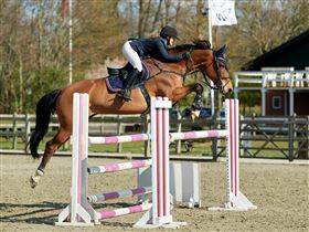 Springundervisning tilbydes