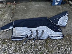 Lemieux Arika insekt