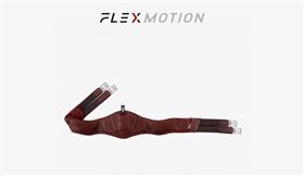 CWD flexmotion gjord