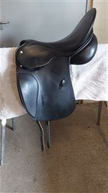 Passier Optimum Shortback