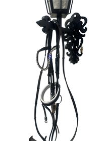 SD Trense incl. bid og tøjler. 