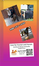 Salg af nyt og udleje af Bemer 