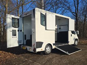 Theault Proteo 2 (Peugeot Boxer) hestetransporter