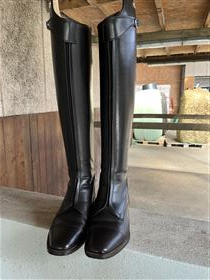 Cavallo polo