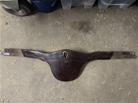 CWD pladegjord