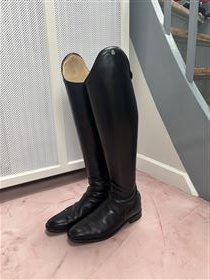 Cavallo Insignis Comfort