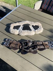 Stübben Equi-Soft Gjord