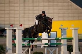 Opstaldinig, uddannelse og kommison af heste.