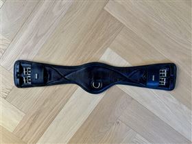 Lemieux dressurgjord