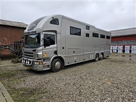 Scania P420 STX 7 Heste med POP-OUT