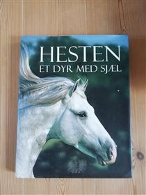 Hesten - et dyr med sjæl