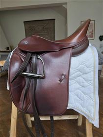 Butterfly Mary dressur