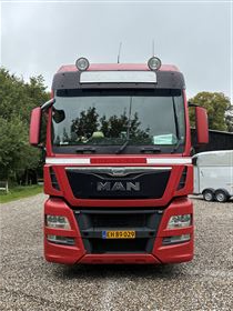 Euro 6, 5 heste og living