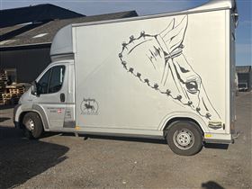  Böckmann hestetransporter Fiat Ducato 250 2013