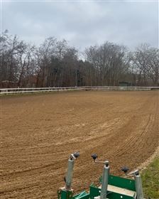 Opstaldning tilbydes