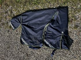 Premier Equine Titan