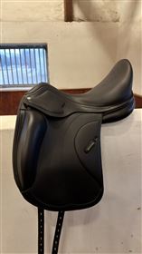 Amerigo Cervia Siena Pinerolo