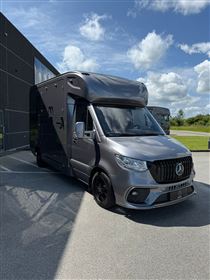 Mercedes Sprinter To hestes