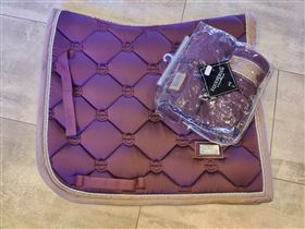 Equistrian Stockholm