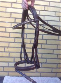 Passier Scorpius trense