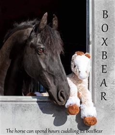 Boks Bamser
