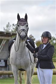 Udlån/træningshest søges!