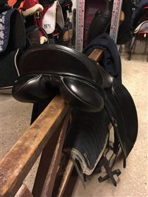 Windsor Elite til salg