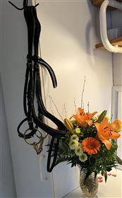 Schockemöhle Equitus BETA anatomisk trense