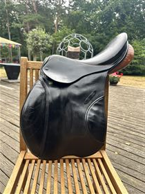 Stubben Siegfried Special 