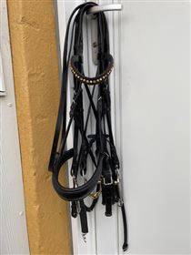 Hubertus kandar med neue schule bid