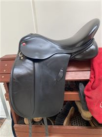 Albion dressur Legend