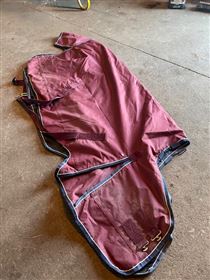 RBH  Sport 100 g dækken + hals