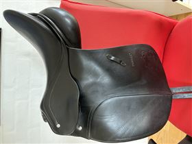 Passier Optimum pony
