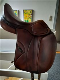 Meget velholdt og flot nøddebrun  Amerigo Pinerolo 16, 5 