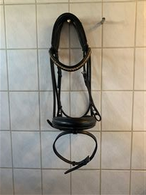  Stein Equest rundsyet trense str. full