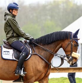 Training, education, competition of your horse