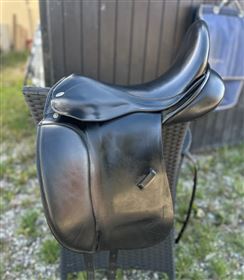 Kentaur Young Dressage