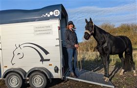 Trailerlæsning - hjælp og undervisning