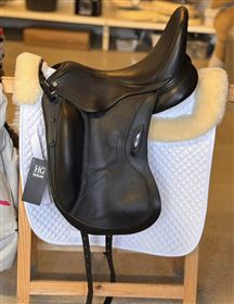 Aviar Rook 2.0 17”