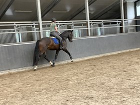 MEJLKÆR'S KEETON CORNETT