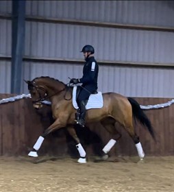 MOSELYS HJERTENSFRYD